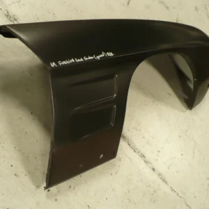 Pontiac Firebird 1969 Right Hand Fender Guard (1)